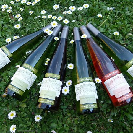 Domaine Du Bouxhof Leilighet Mittelwihr Eksteriør bilde