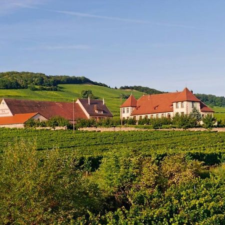 Domaine Du Bouxhof Leilighet Mittelwihr Eksteriør bilde